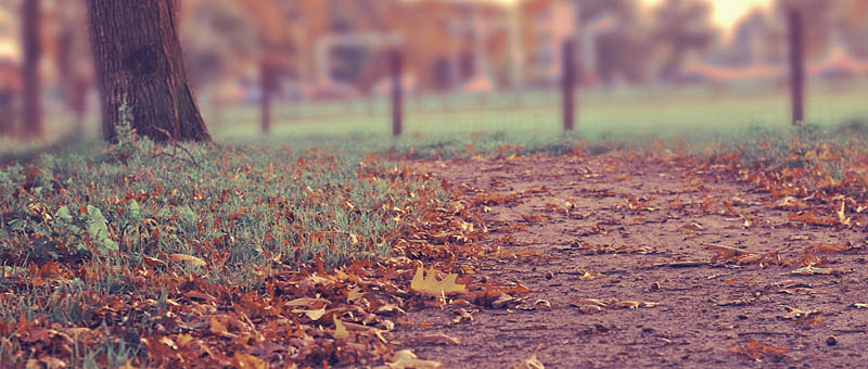 可视化平台的ddos接单平台